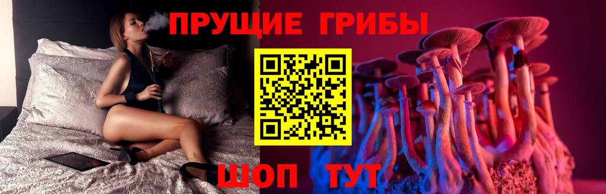 Галлюциногенные грибы мицелий Советский